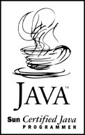 sun certified java programmer